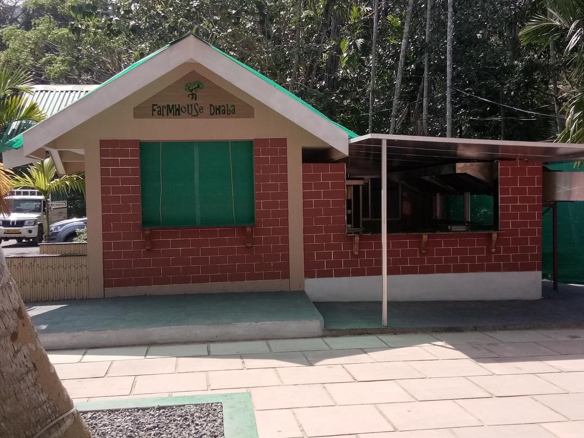 Lush Green Retreat Wandoor Екстер'єр фото