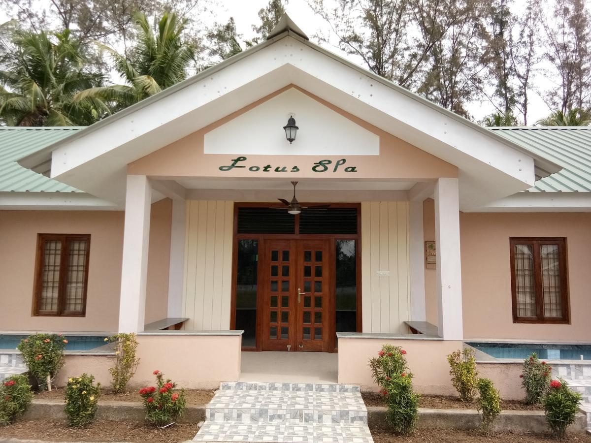 Lush Green Retreat Wandoor Екстер'єр фото