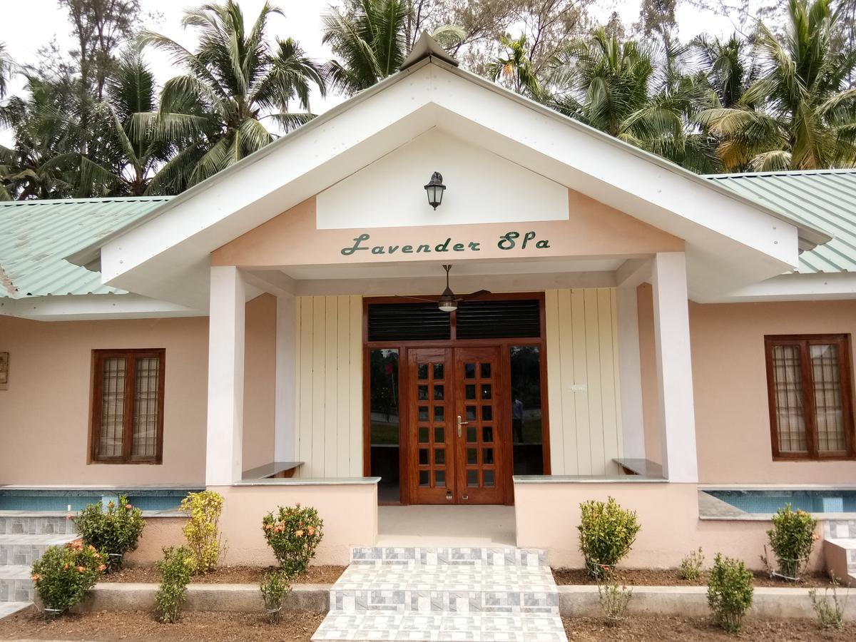 Lush Green Retreat Wandoor Екстер'єр фото