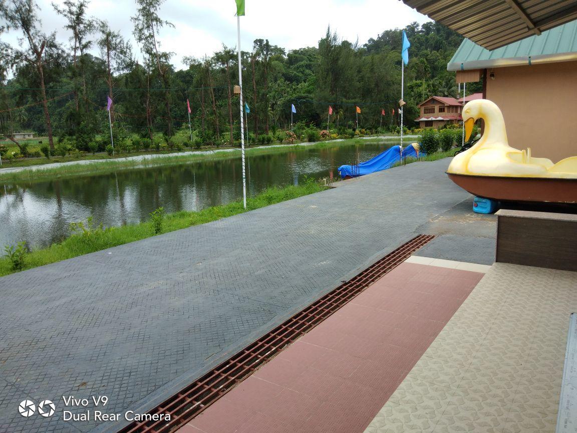 Lush Green Retreat Wandoor Екстер'єр фото