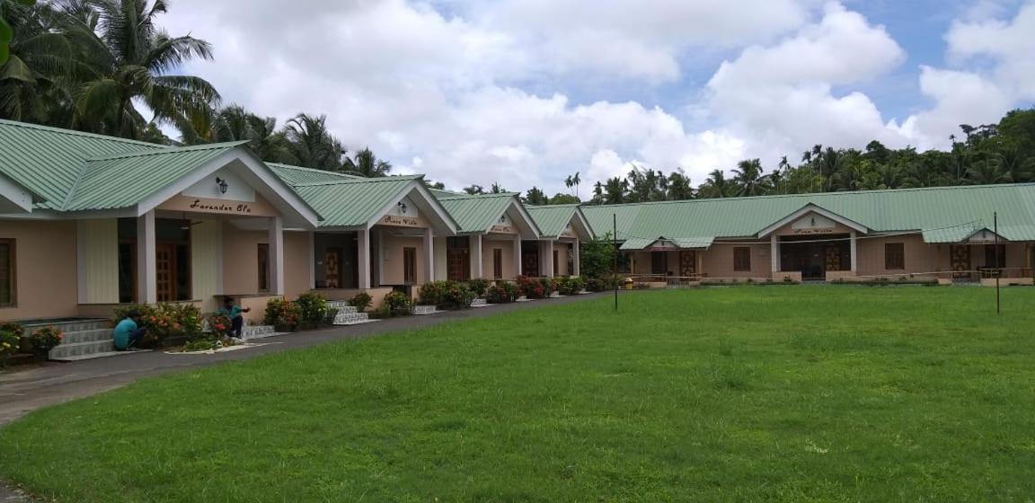 Lush Green Retreat Wandoor Екстер'єр фото